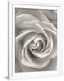 Gramercy White