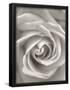Essential Black
