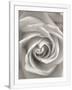 Gramercy White