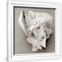Gramercy White