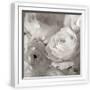 White Frame