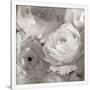 Gramercy White
