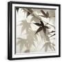 Black Frame