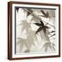 Brown Frame