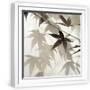 White Frame