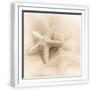 White Frame