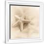 Gramercy White