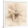 Gramercy White