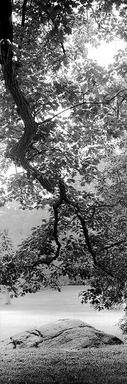 Photo, , large