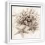 White Frame