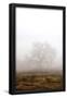 Essential Black