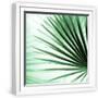 White Frame