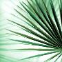 Just the Print