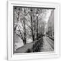 Gramercy White