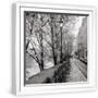 White Frame