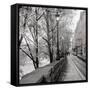 Canvas Black