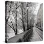 Stretched Canvas