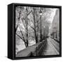 Canvas Black