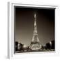 Chelsea White