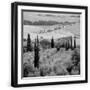 Black Frame