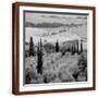 Brown Frame