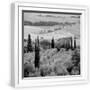 White Frame