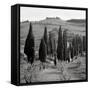 Canvas Black