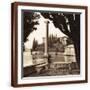Brown Frame