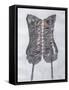 Framed Canvas