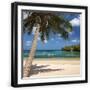 Black Frame