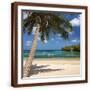 Brown Frame