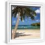 White Frame