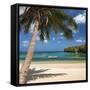 Canvas Black