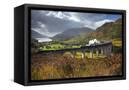 Canvas Black