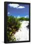 Essential Black