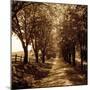 Wood Mount