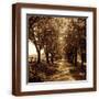 Brown Frame