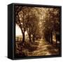 Canvas Black