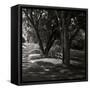 Canvas Black