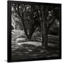 Gramercy Black