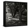 Canvas Black