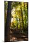 Wood Mount