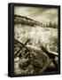 Essential Black