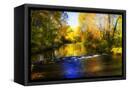 Canvas Black