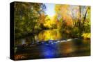 Stretched Canvas