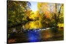 Stretched Canvas