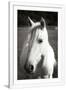 Gramercy White
