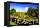 Canvas Black