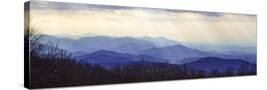Stretched Canvas