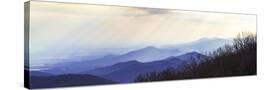 Stretched Canvas